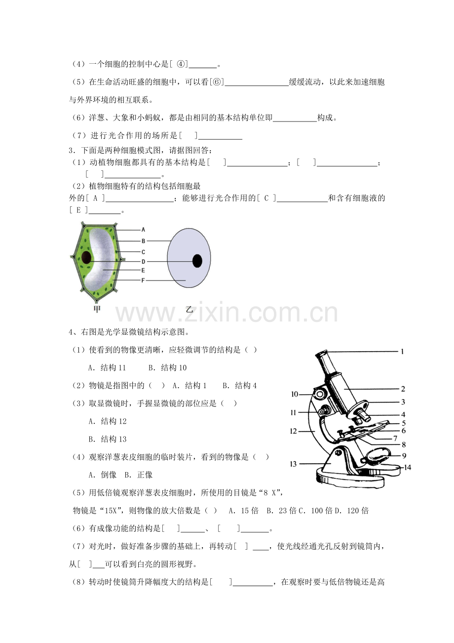 人教版初中生物识图专题(整理版).doc_第2页