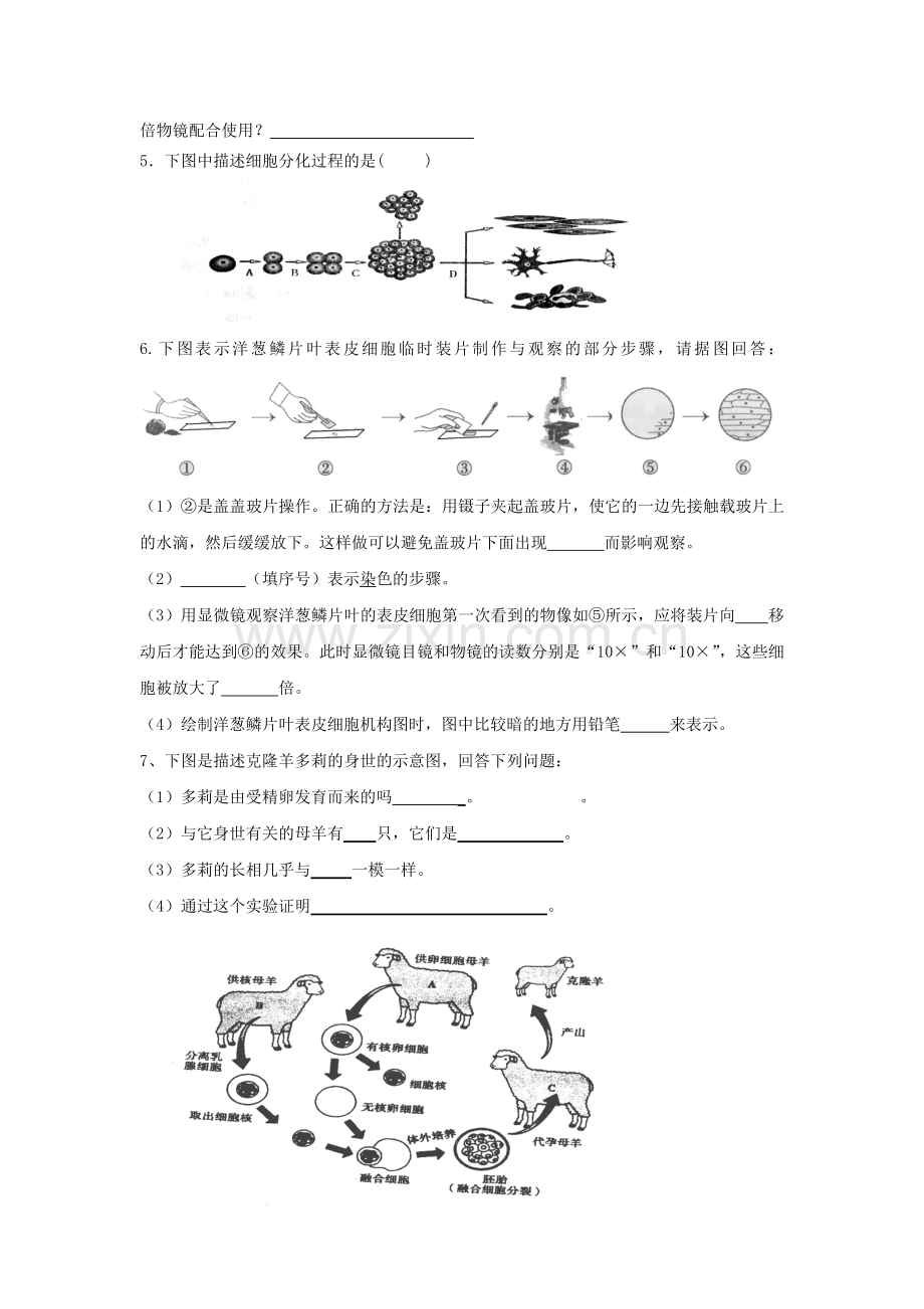 人教版初中生物识图专题(整理版).doc_第3页