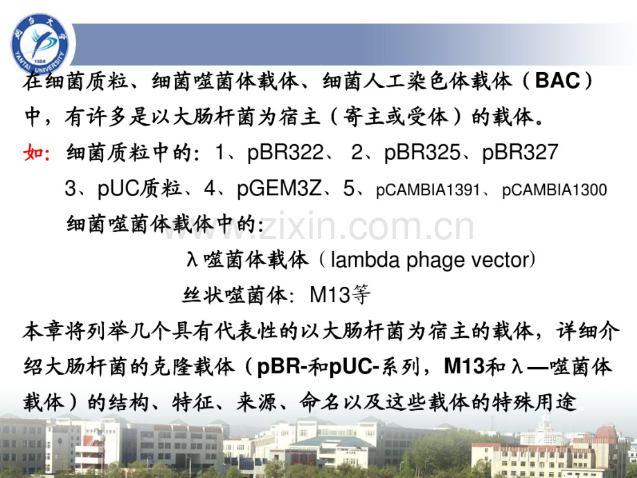 6第六章：以大肠杆菌为宿主的克隆载体.pdf_第3页