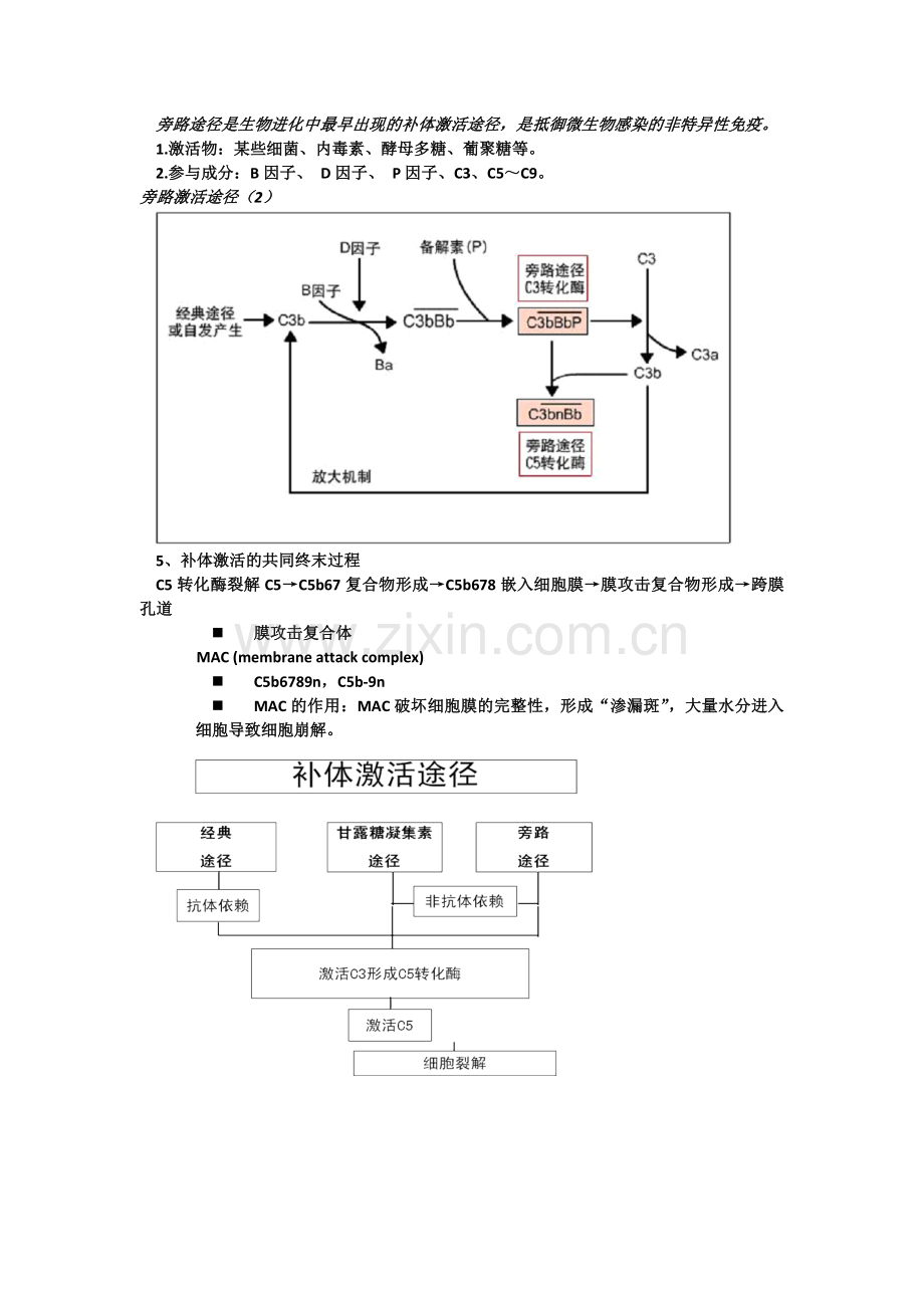 医学免疫学重点总结.doc_第2页