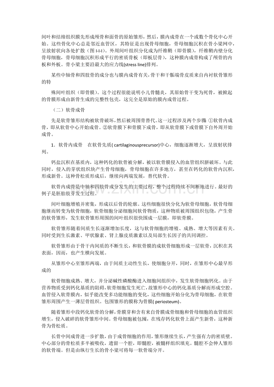 第一章骨骼.doc_第2页