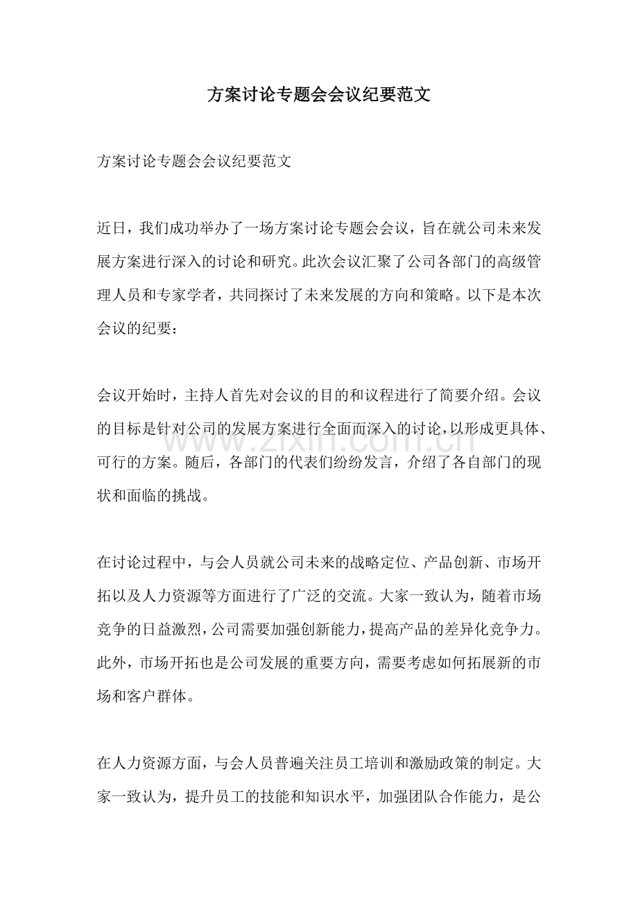 方案讨论专题会会议纪要范文.docx_第1页