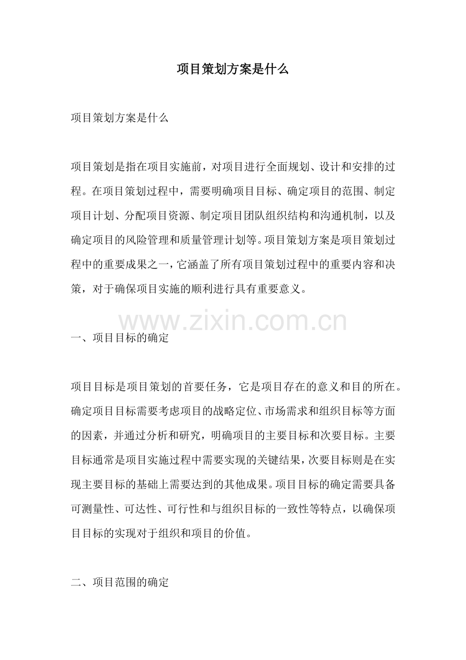 项目策划方案是什么.docx_第1页