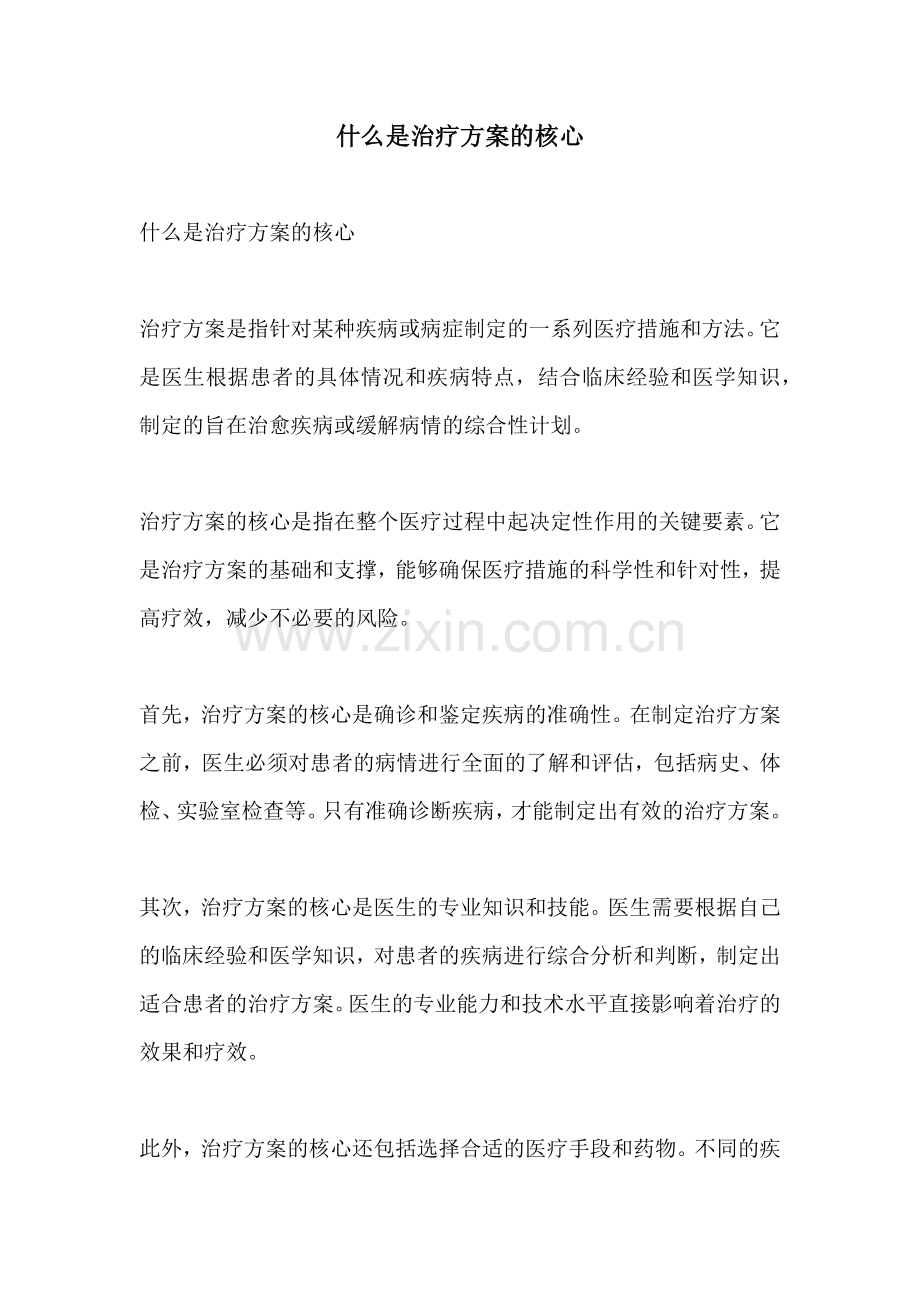 什么是治疗方案的核心.docx_第1页