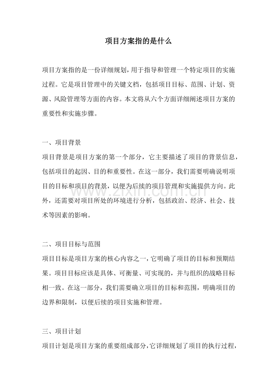 项目方案指的是什么.docx_第1页