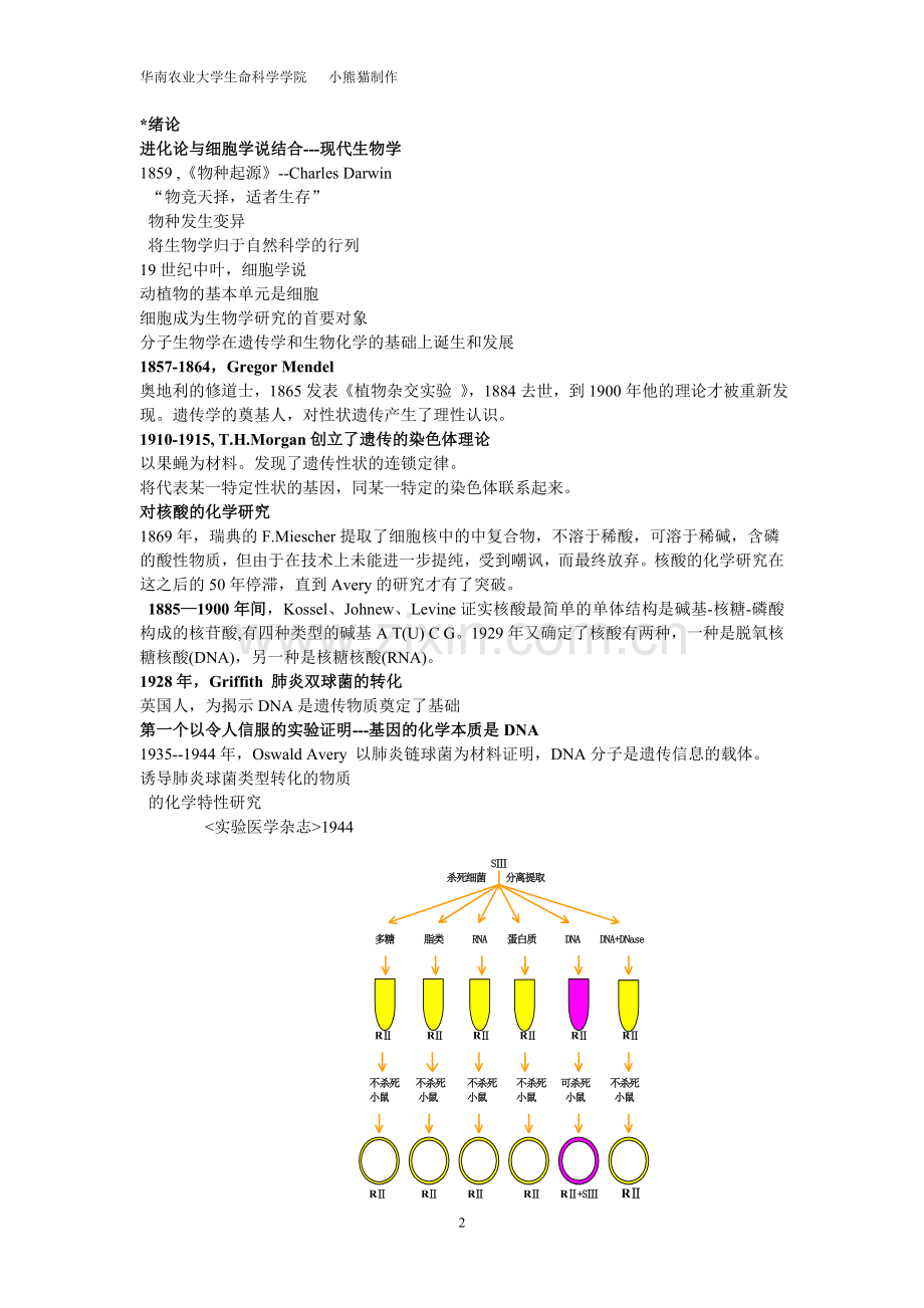 分子生物学.doc_第2页