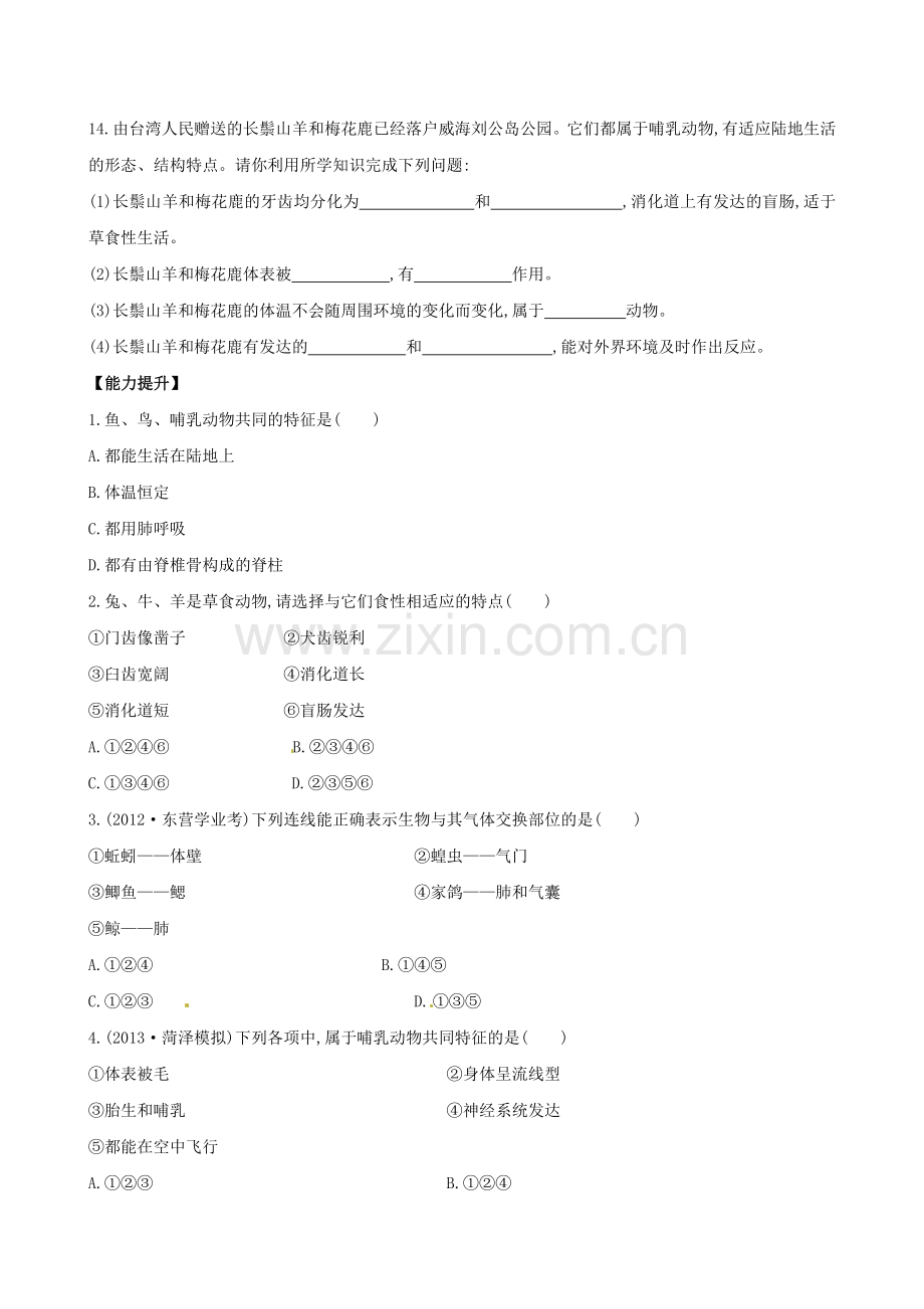 八年级生物上册哺乳动物同步练习2新版新人教版1.doc_第3页