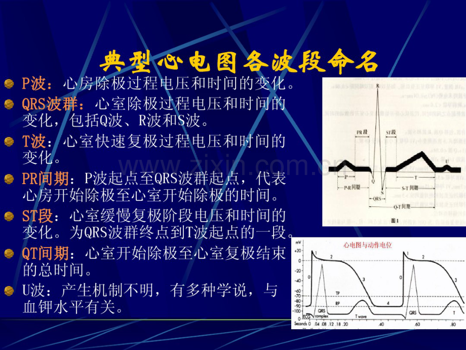 常见心律失常.pdf_第2页