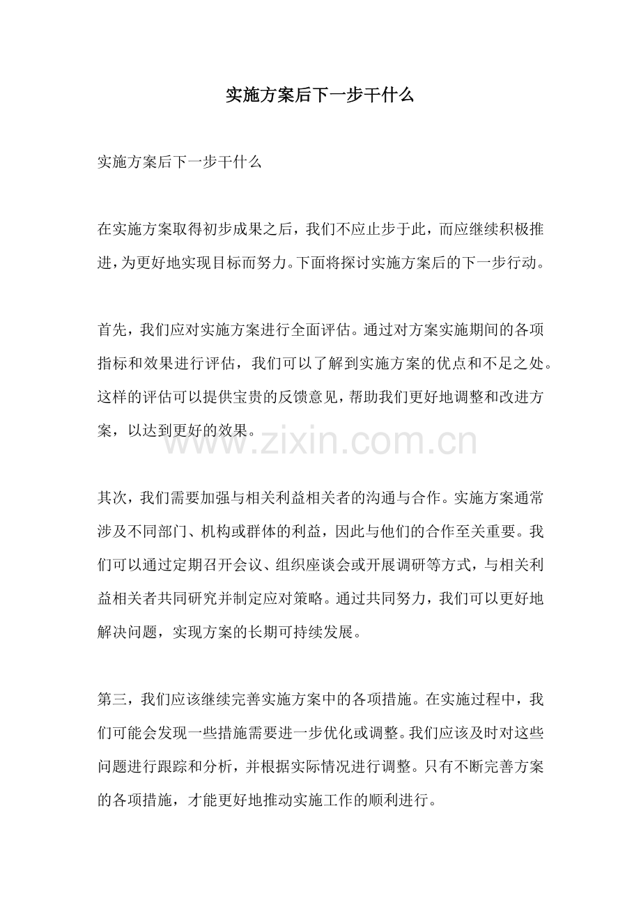 实施方案后下一步干什么.docx_第1页