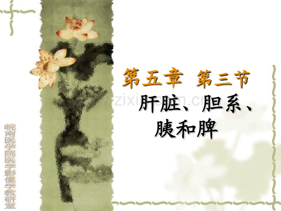 肝胆胰脾.pdf_第1页