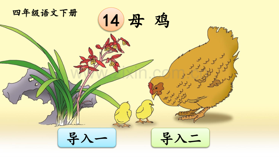 部编版四年级语文下册《母鸡》优质课件.ppt_第1页