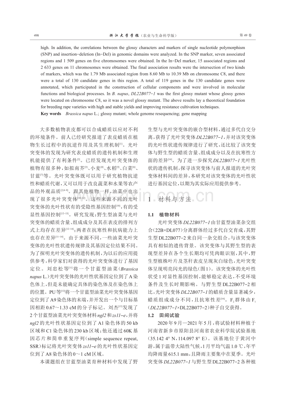 基于全基因组重测序技术的甘蓝型油菜光叶突变体基因定位.pdf_第2页