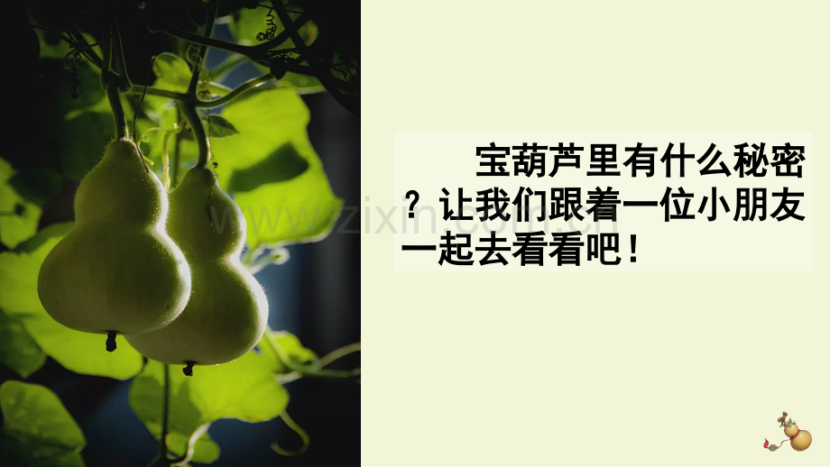 部编人教版四年级语文下册《宝葫芦的秘密(节选)》教材课件.pptx_第1页