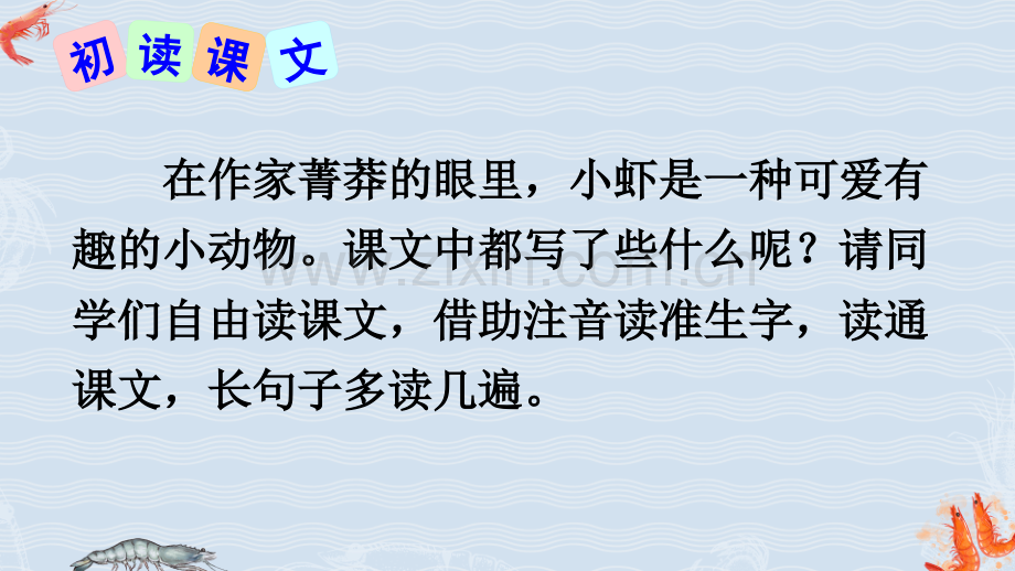 2023年部编人教版三年级语文下册《小虾》课件.ppt_第3页