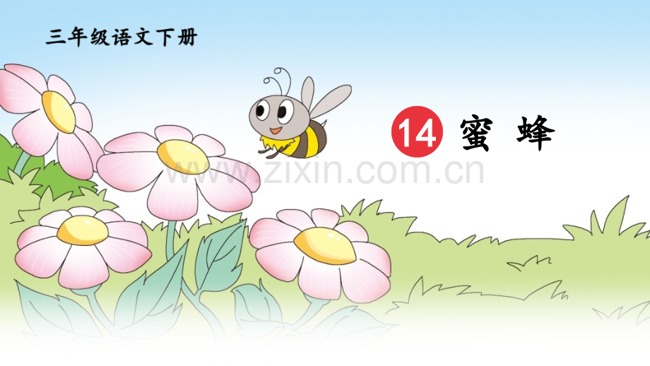 部编版三年级语文下册《蜜蜂》优质课件.pptx_第3页