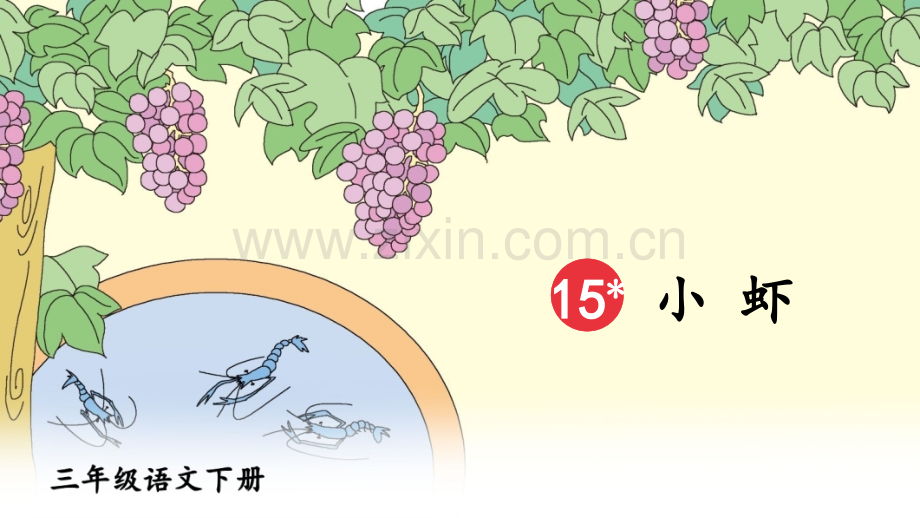 部编人教版小学三年级语文下册《小虾》课件.ppt_第2页