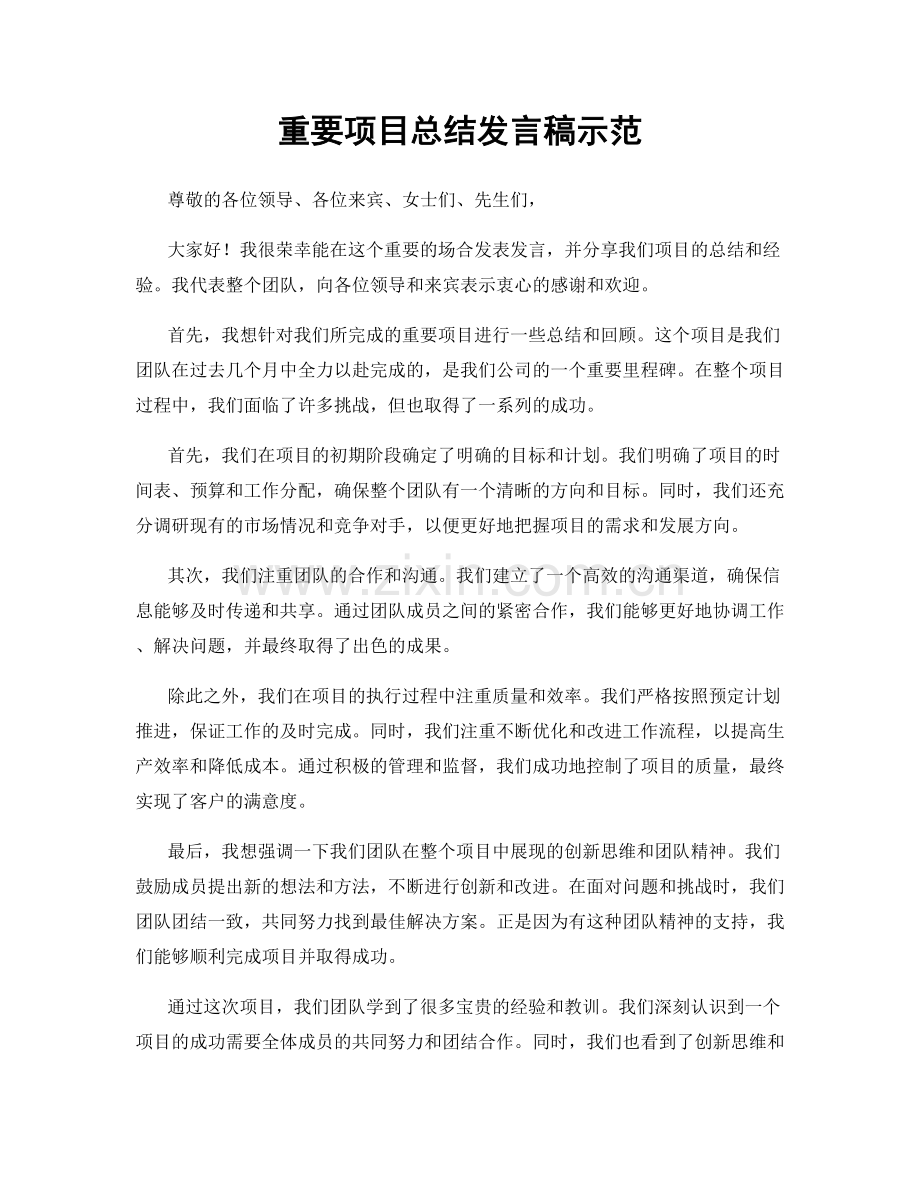 重要项目总结发言稿示范.docx_第1页