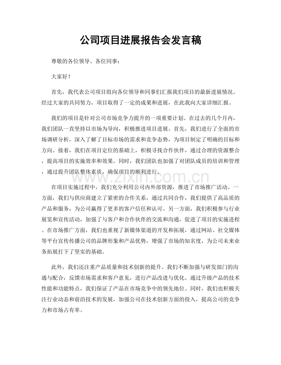 公司项目进展报告会发言稿.docx_第1页