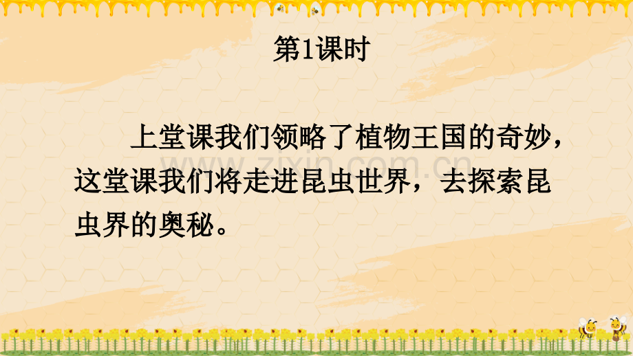 部编人教版三年级语文下册《蜜蜂》精美课件.pptx_第2页