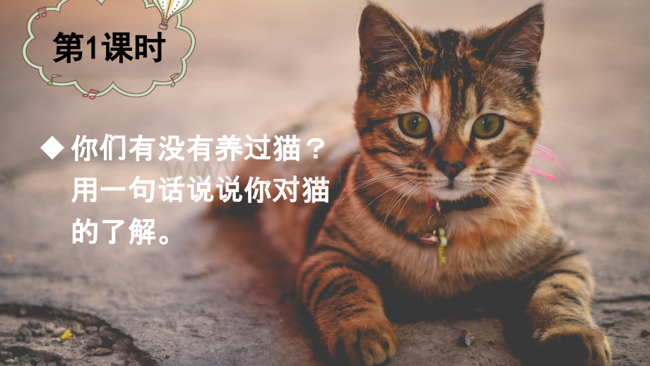 部编人教版四年级语文下册《猫》完整课件.ppt_第2页