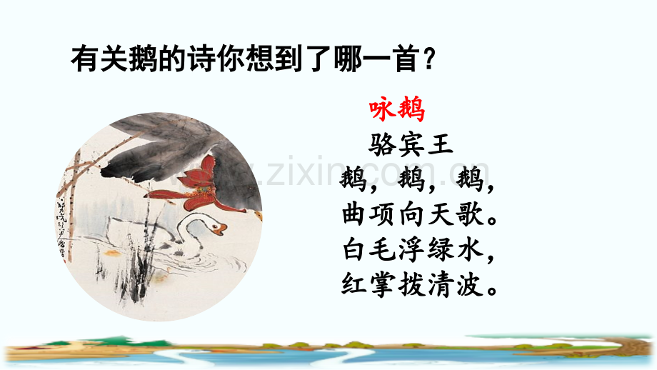 部编人教版四年级语文下《白鹅》课件.pptx_第2页