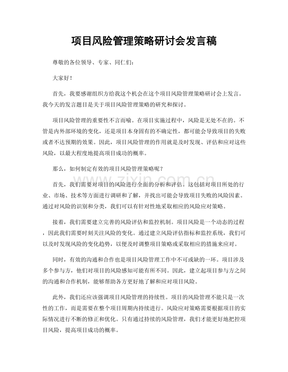 项目风险管理策略研讨会发言稿.docx_第1页