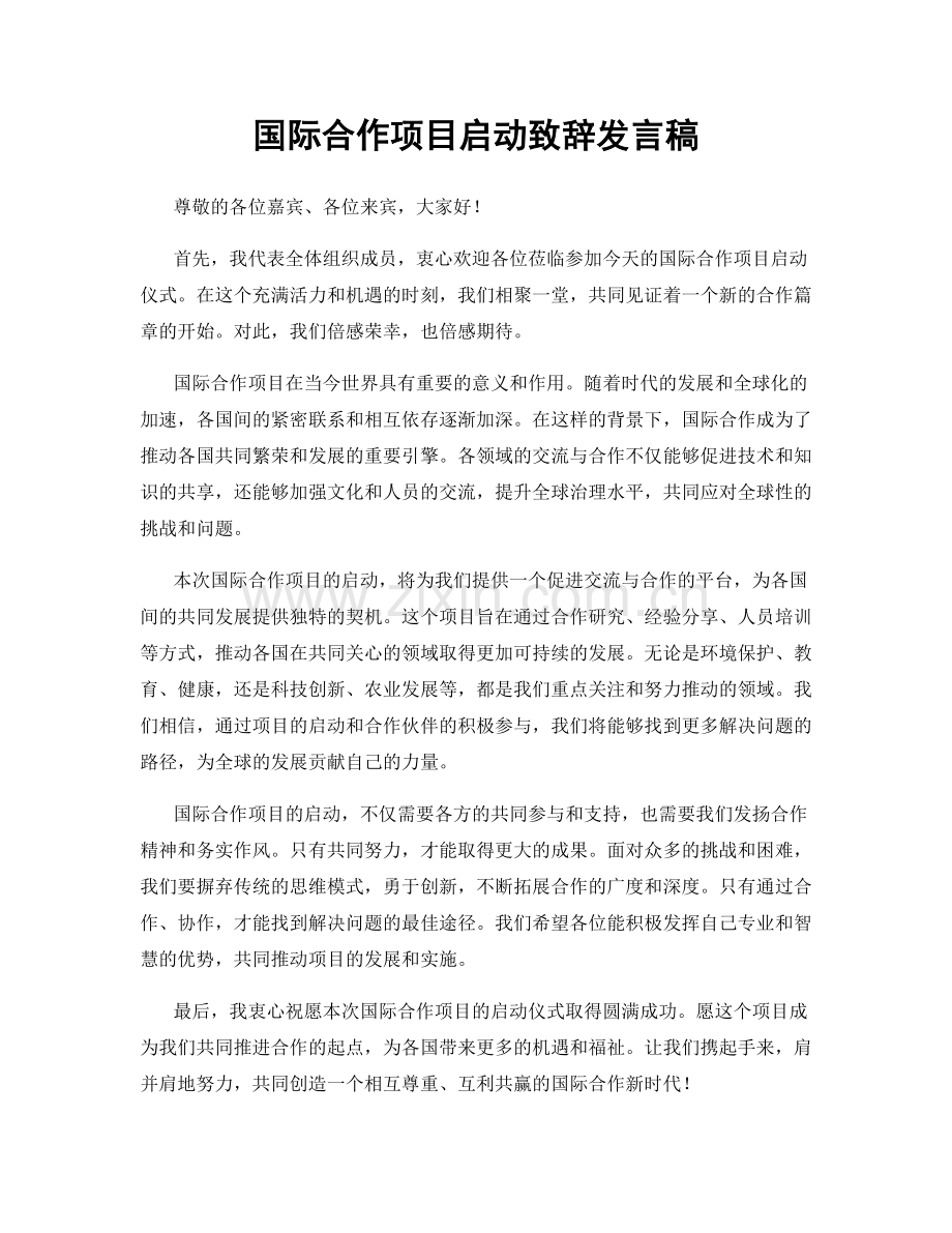 国际合作项目启动致辞发言稿.docx_第1页