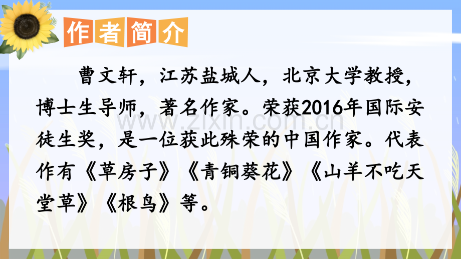 2023年部编人教版四年级语文下册《芦花鞋》课件.ppt_第3页