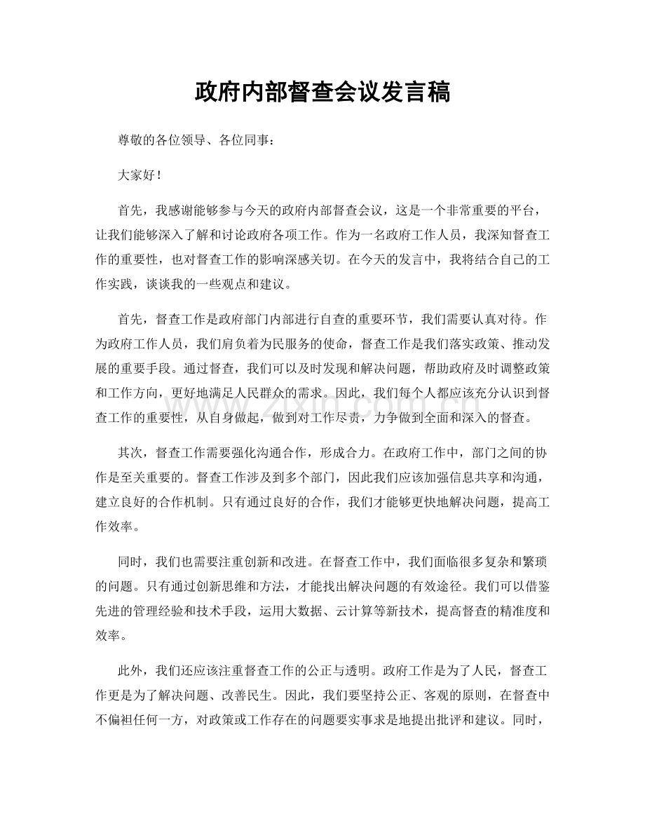 政府内部督查会议发言稿.docx_第1页