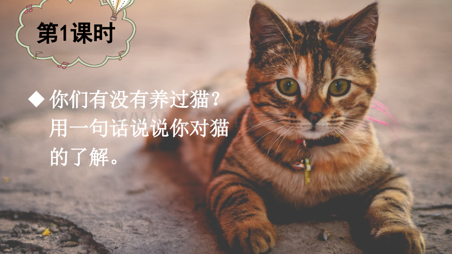 部编版四年级语文下册《猫》教材课件.ppt_第2页