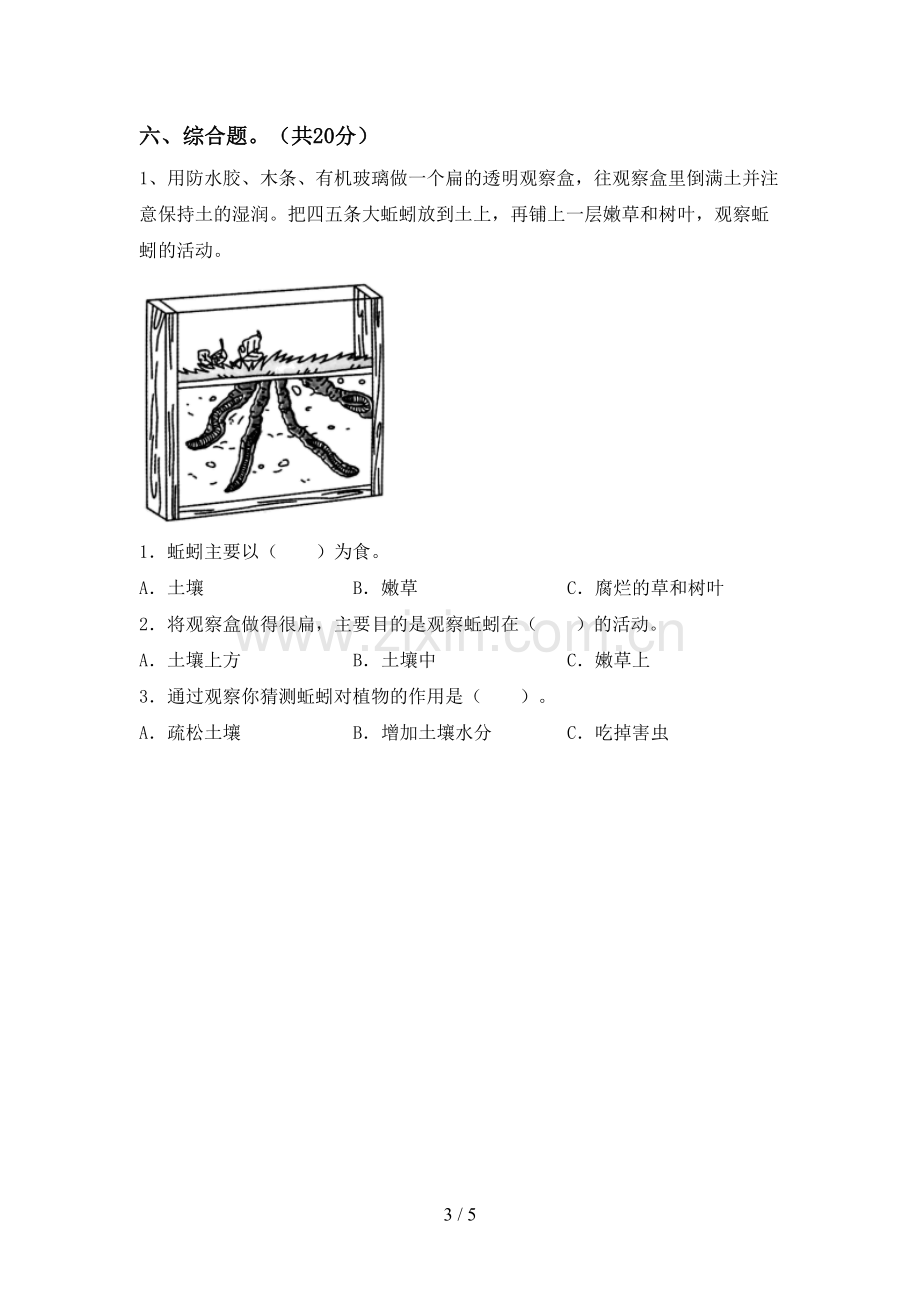 新人教版二年级科学下册期中试卷及答案一.doc_第3页