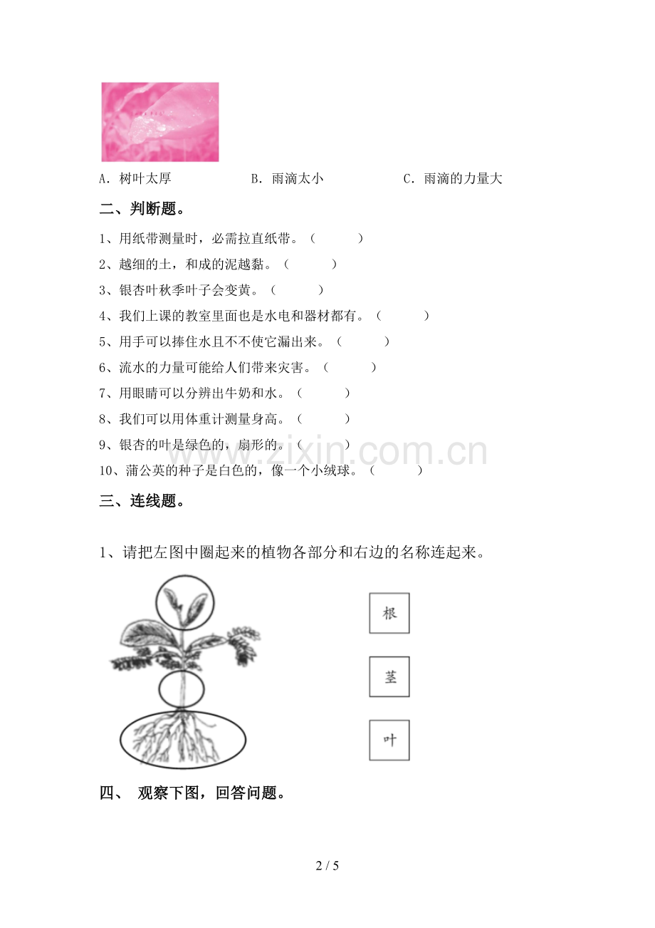 苏教版一年级科学下册期中测试卷及答案【汇编】.doc_第2页