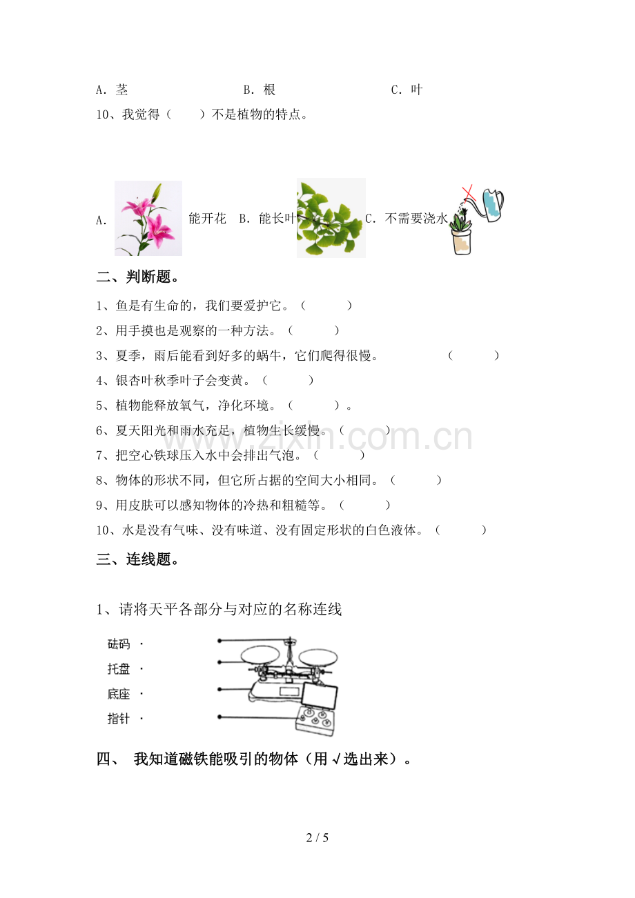 2023年教科版一年级科学下册期中考试题及完整答案.doc_第2页