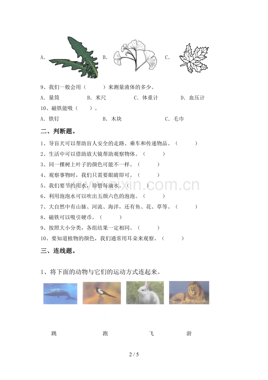 新教科版一年级科学下册期中考试卷(A4版).doc_第2页