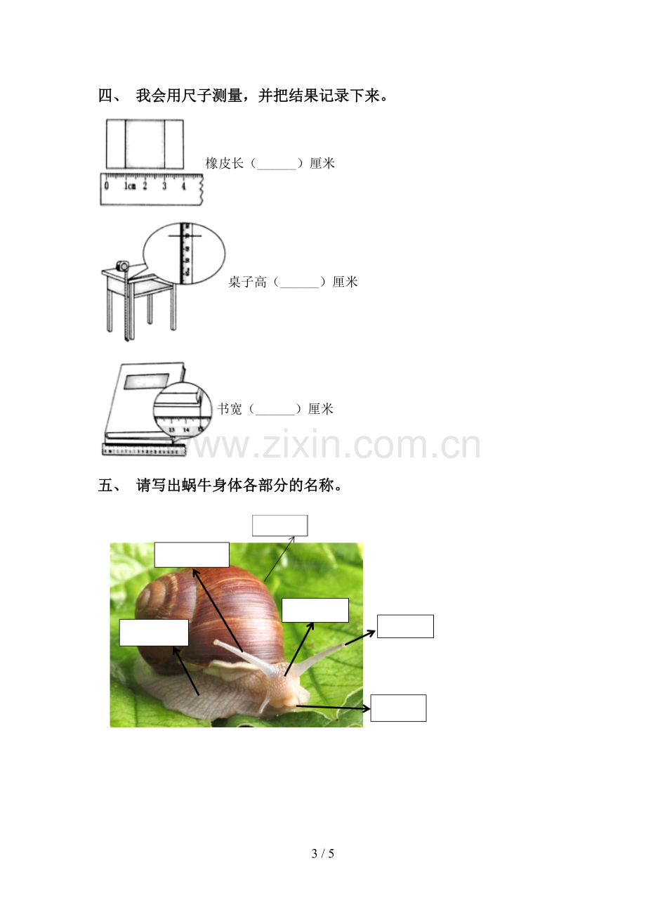 新教科版一年级科学下册期中考试卷(A4版).doc_第3页