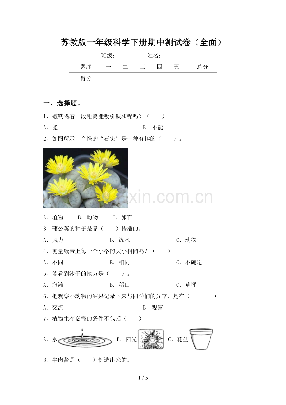 苏教版一年级科学下册期中测试卷(全面).doc_第1页