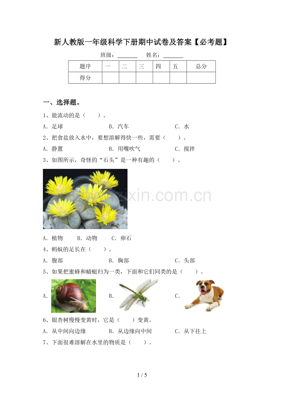 新人教版一年级科学下册期中试卷及答案【必考题】.doc_第1页