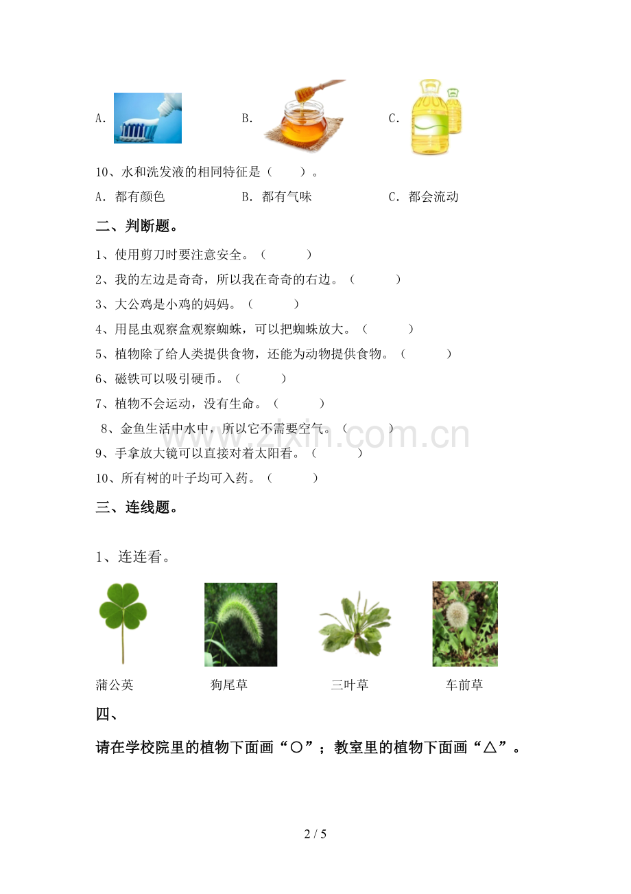 2022-2023年教科版一年级科学下册期中测试卷及答案1套.doc_第2页