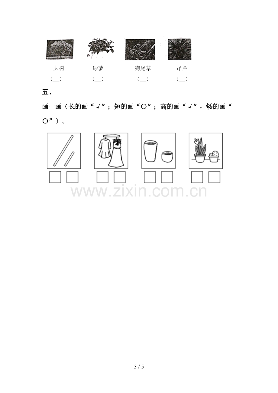 2022-2023年教科版一年级科学下册期中测试卷及答案1套.doc_第3页