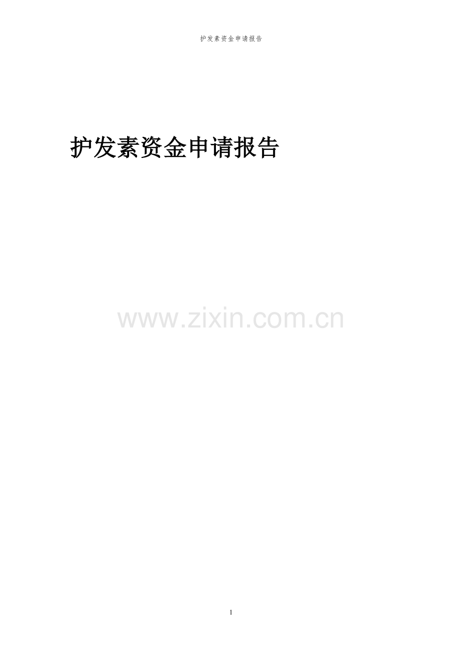 2024年护发素投资项目资金申请报告.docx_第1页