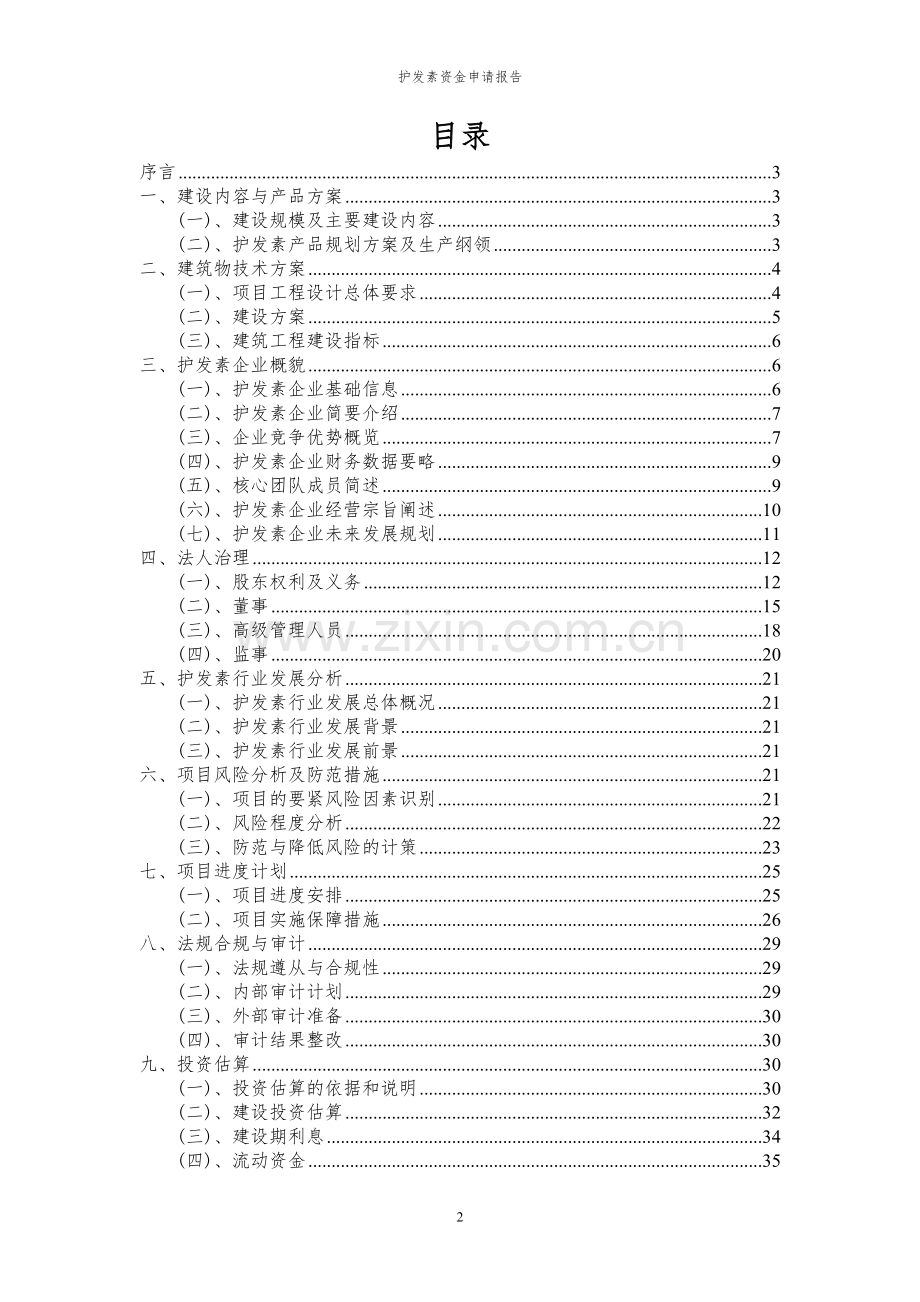 2024年护发素投资项目资金申请报告.docx_第2页