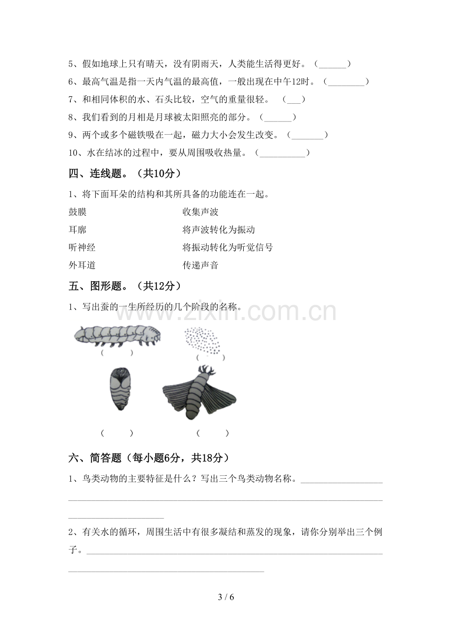 2023年教科版三年级科学下册期中测试卷及答案【A4打印版】.doc_第3页