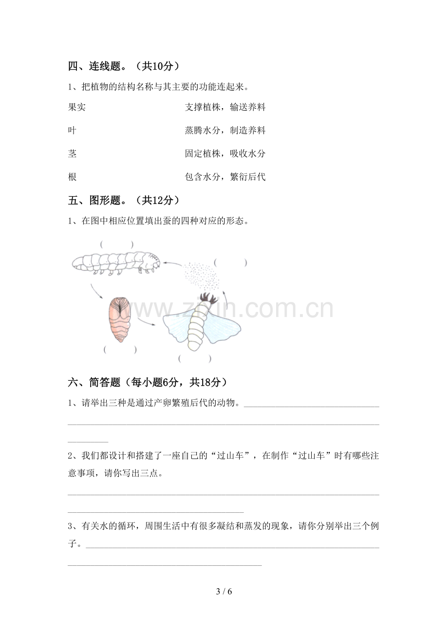 新教科版三年级科学下册期中考试卷(一套).doc_第3页