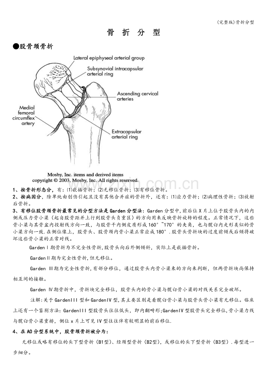 骨折分型.doc_第1页