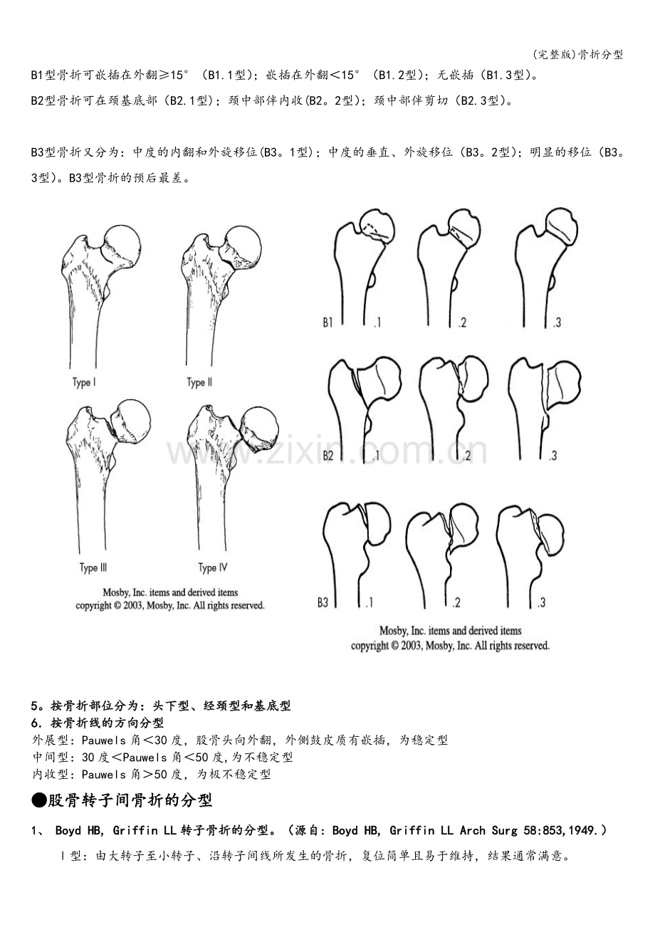 骨折分型.doc_第2页