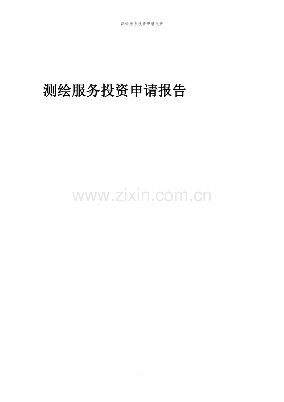 2024年测绘服务项目投资申请报告.docx_第1页