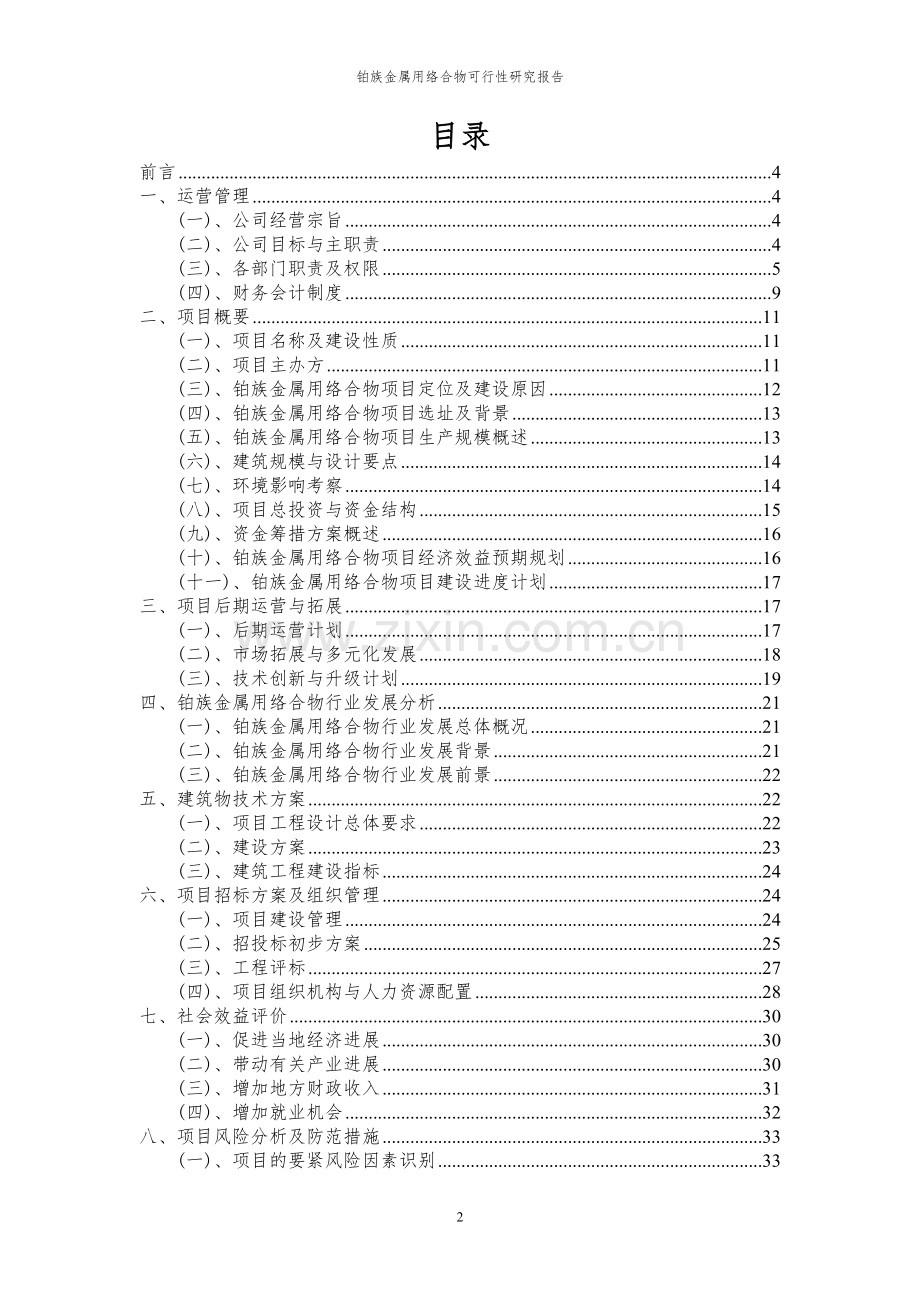 2023年铂族金属用络合物项目可行性研究报告.docx_第2页