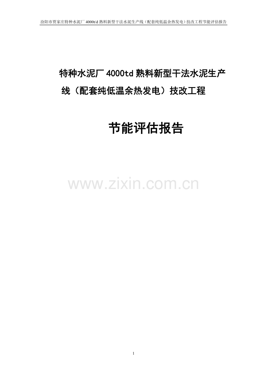 特种水泥厂4000td熟料新型干法水泥生产线(配套纯低温余热发电)技改工程节能评估报告.doc_第1页