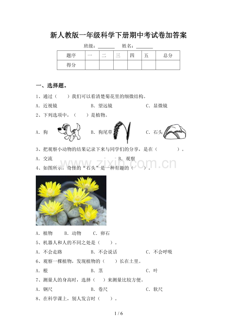 新人教版一年级科学下册期中考试卷加答案.doc_第1页