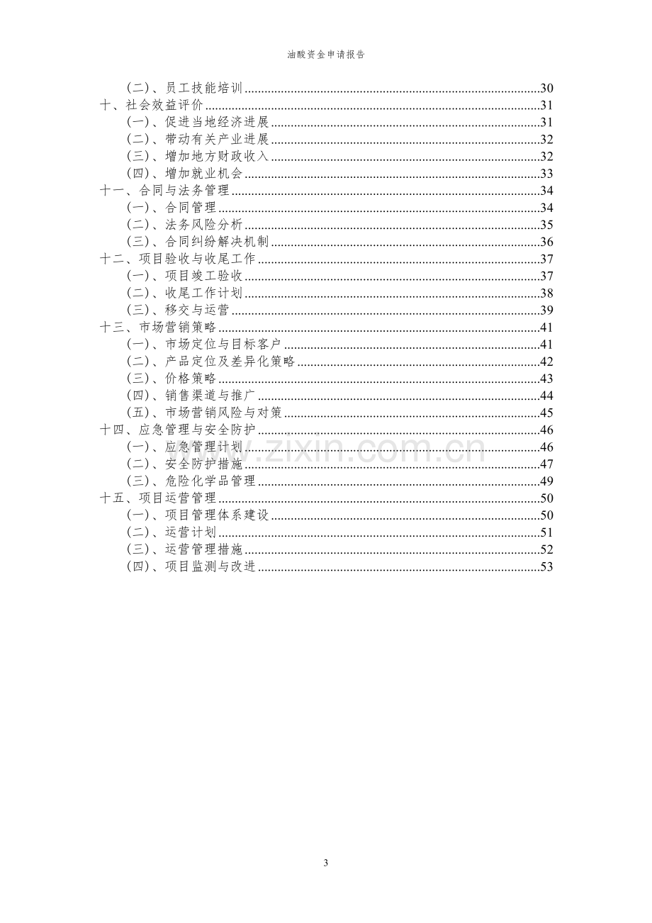 2024年油酸项目资金申请报告.docx_第3页